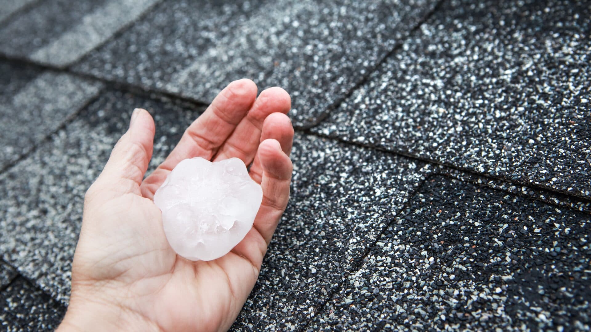 Hailstone on a shingle roof